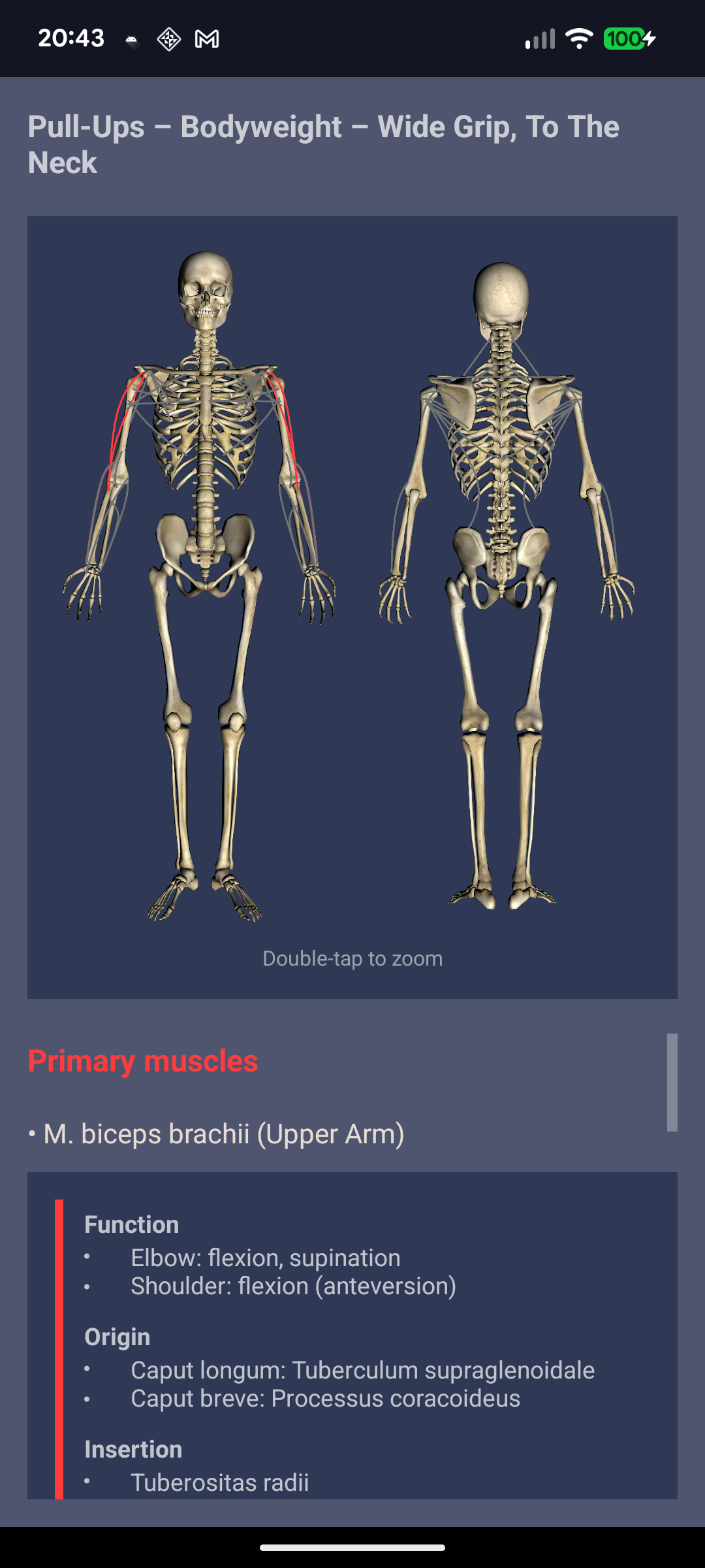 Anatomy and muscles screenshot